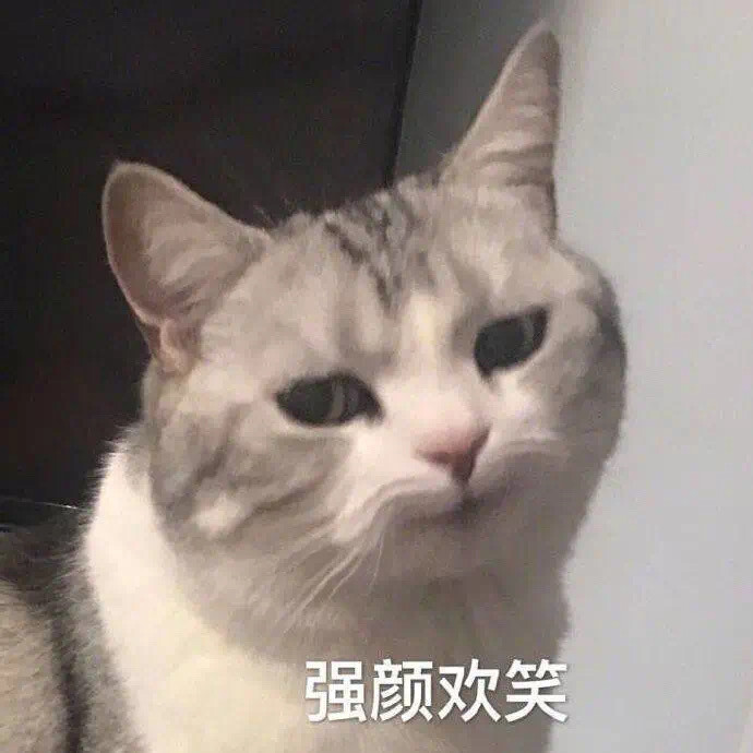 沙雕猫猫（侵删）