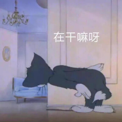 表情包，（侵删）