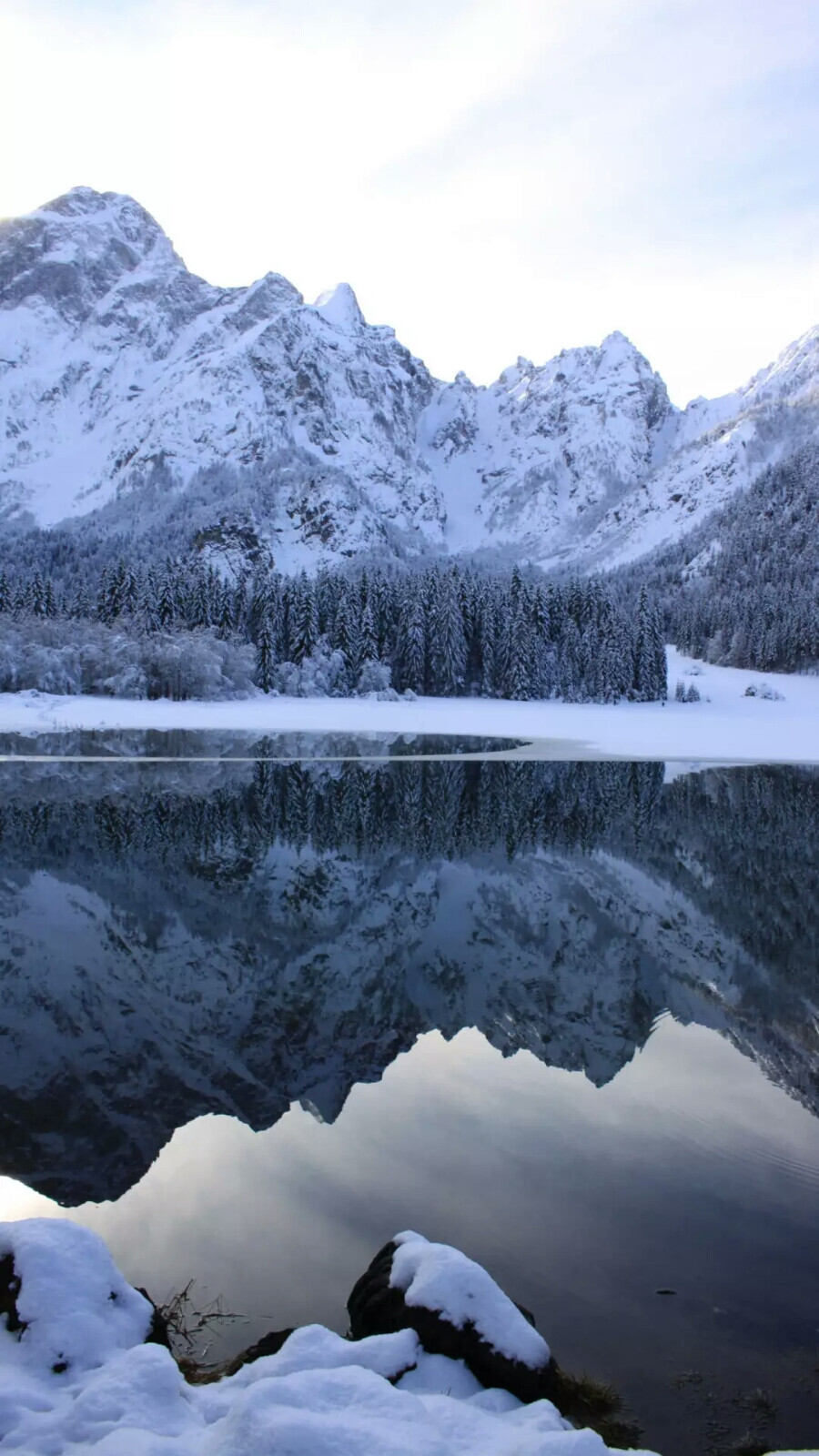 900_1600竖版 竖屏