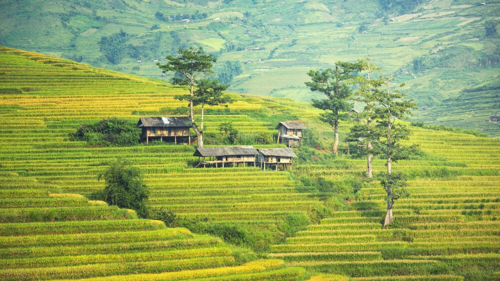 电脑壁纸 背景 插画 风景