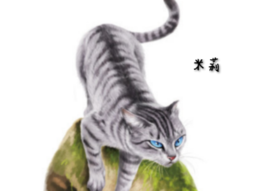 猫武士2