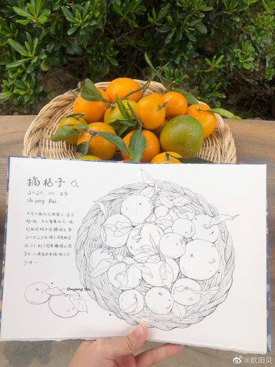 欧阳贝淡彩