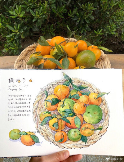 欧阳贝淡彩