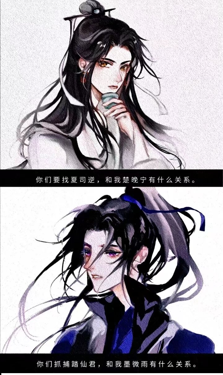 二哈和他的白猫师尊