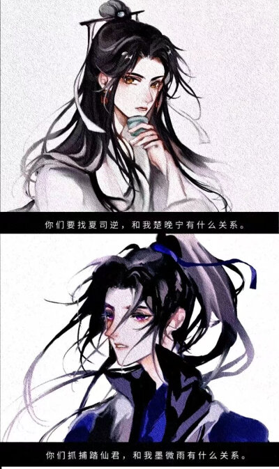 二哈和他的白猫师尊