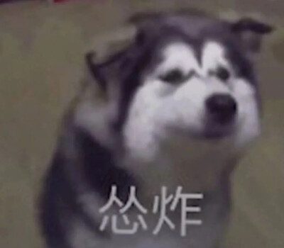 表情包