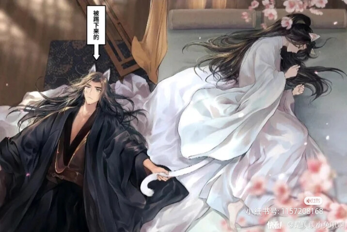 二哈和他的白猫师尊