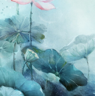 世间有蜉蝣，朝生暮死盼情浓。