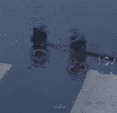 雨