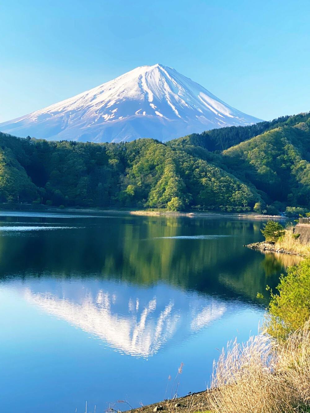 只有日本_富士山