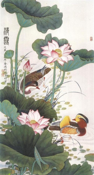 荷花