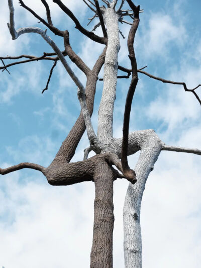 位于“Twist”画廊前的朱塞佩·佩诺内（Giuseppe Penone）作品《身份》（Identity），摄影：Einar Aslaksen
