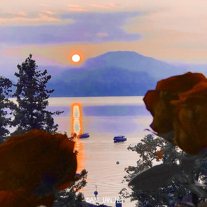 ·鞠 婧 祎 // 流鸢 Flowing kites）
背景©️沈知秋