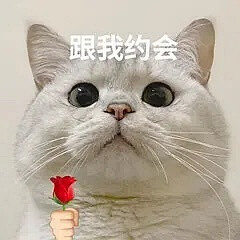 举花小猫表情包