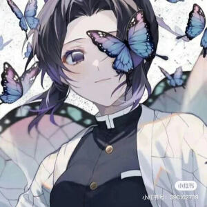 鬼灭之刃蝴蝶忍（鬼灭之刃系列，我只更蝴蝶忍祢豆子杏花落香奈乎还有甘露寺蜜璃的）