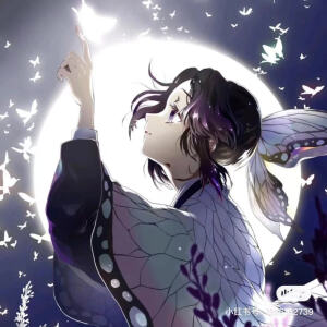 鬼灭之刃蝴蝶忍（鬼灭之刃系列，我只更蝴蝶忍祢豆子杏花落香奈乎还有甘露寺蜜璃的）