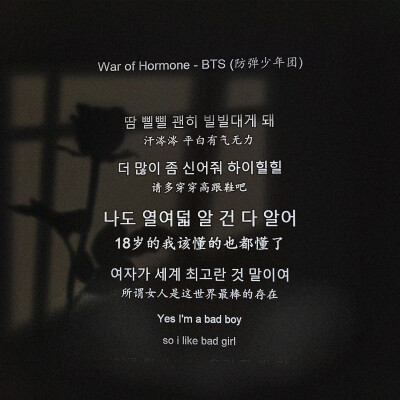 War of Hormone
—防弹少年团