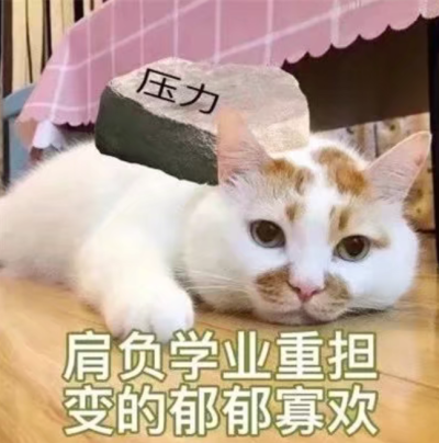 总之就是很奇怪(猫/狗 表情包)