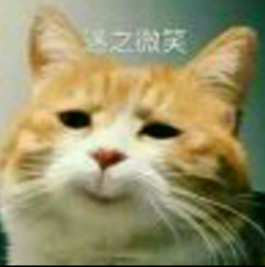 总之就是很奇怪(猫/狗 表情包)