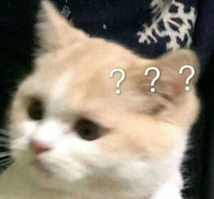 总之就是很奇怪(猫/狗 表情包)