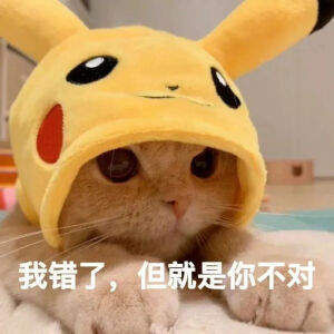 总之就是很奇怪(猫/狗 表情包)