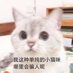 总之就是很奇怪(猫/狗 表情包)