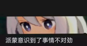 原神 (表情包)