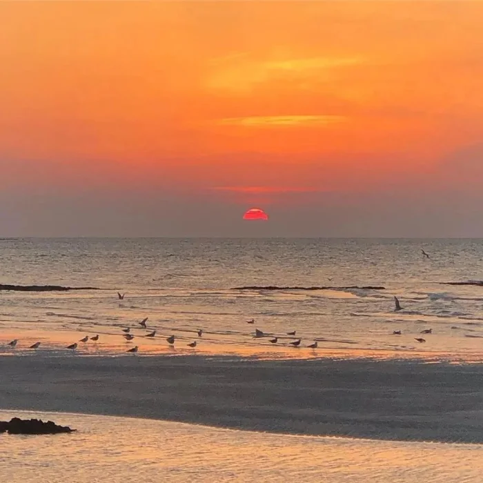 海边背景图
拿图点赞吱声