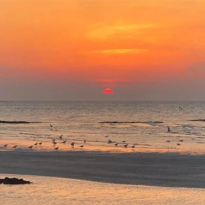 海边背景图
拿图点赞吱声