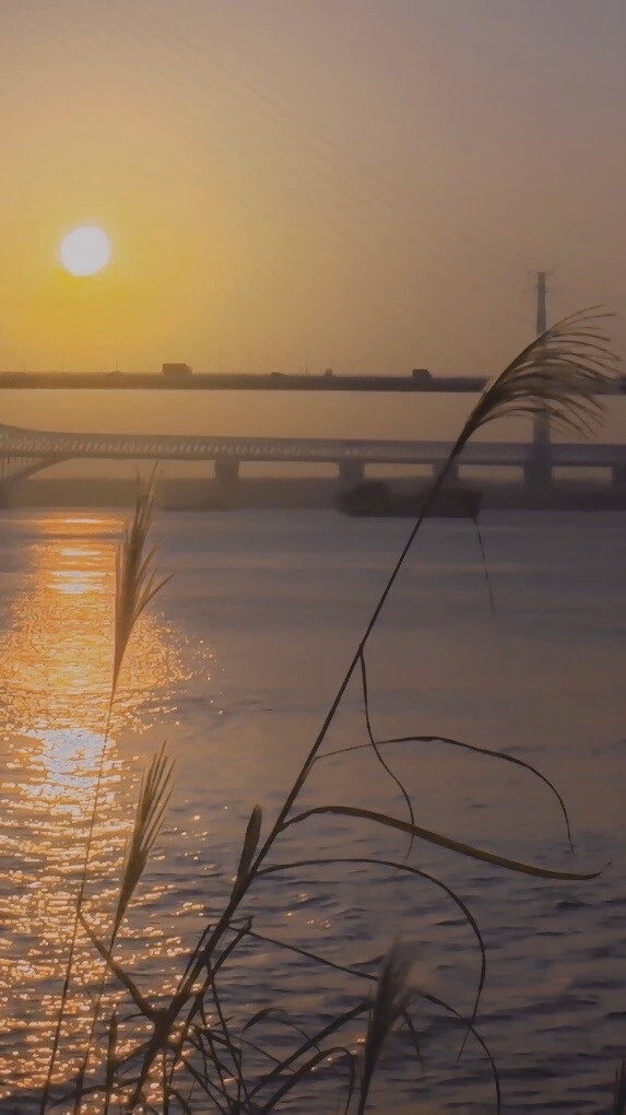 “在今年夏天来临之前，我还是想跟你手牵手，看夕阳余晖，看潮起潮落，看鸟起惊飞，看落进你眼里的温柔。”
/nl不分的耶 ​​​
晚安.