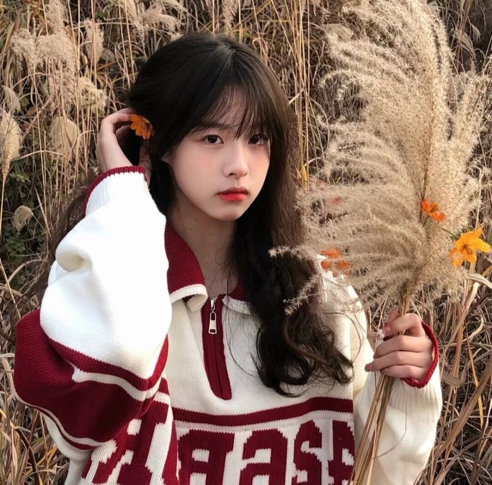 玩网底图么