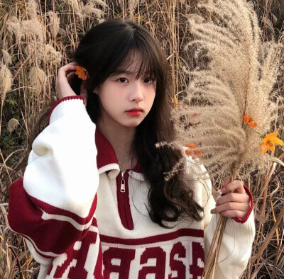玩网底图么