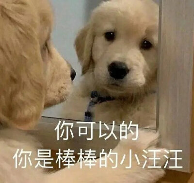 。。。可爱表情