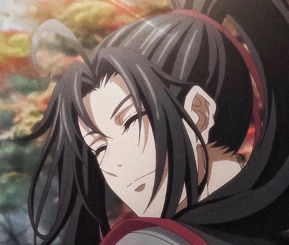 魔道祖师 魏无羡 蓝忘机 忘羡