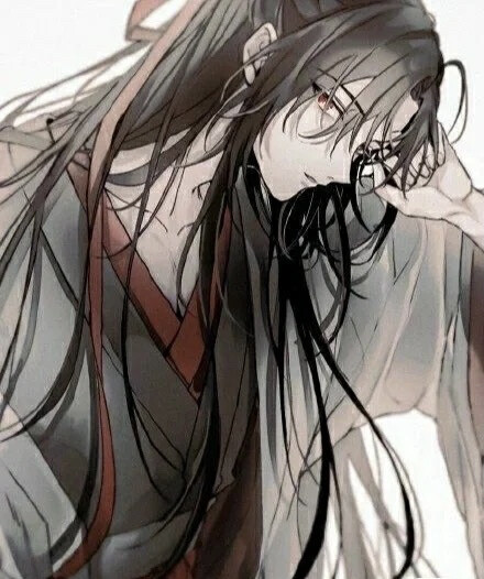 魔道祖师 魏无羡 蓝忘机 忘羡