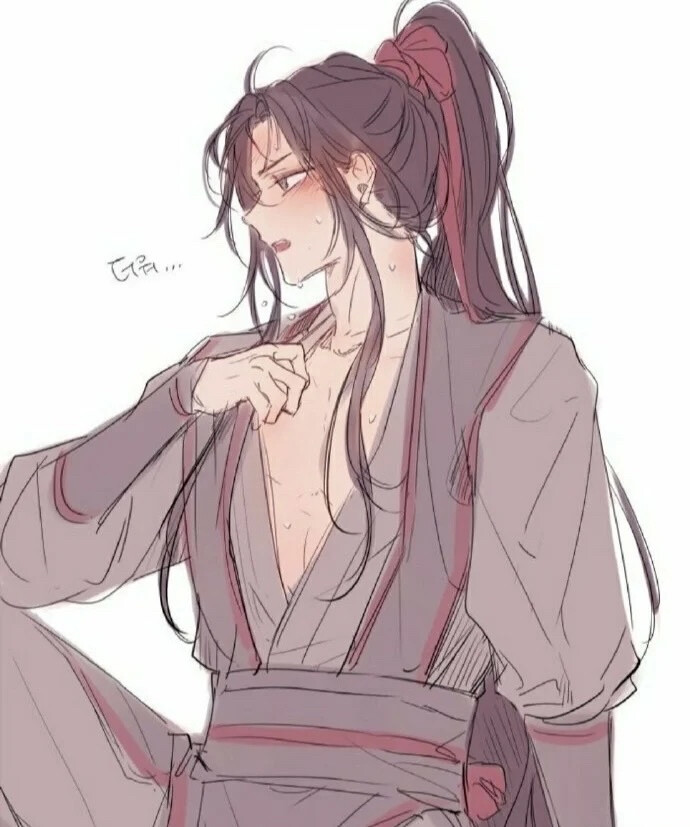 魔道祖师 魏无羡 蓝忘机 忘羡