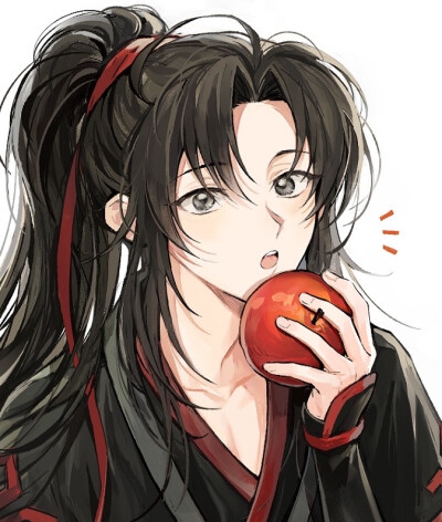 魔道祖师 魏无羡 蓝忘机 忘羡