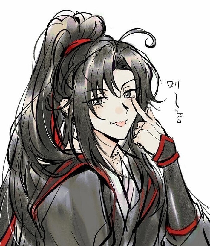 魔道祖师 魏无羡 蓝忘机 忘羡