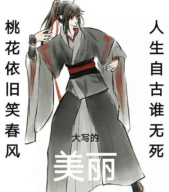 魔道祖师 魏无羡 蓝忘机 忘羡 头像 壁纸