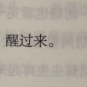 文字集