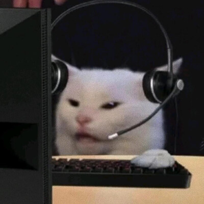 搞怪猫咪头像