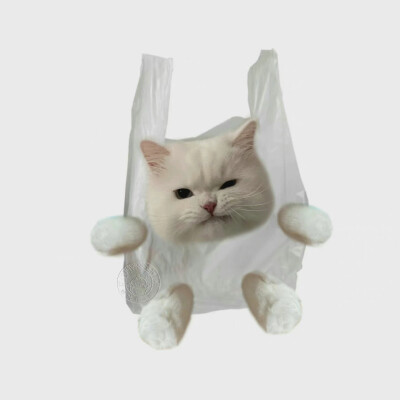 搞怪猫咪头像