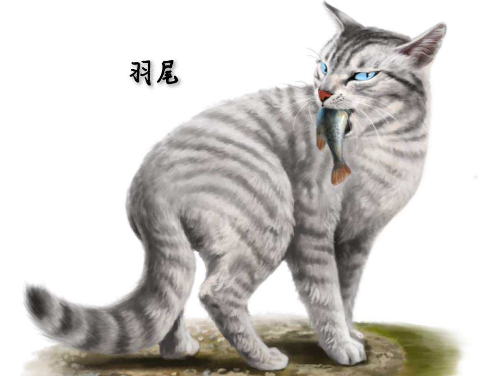 猫武士3