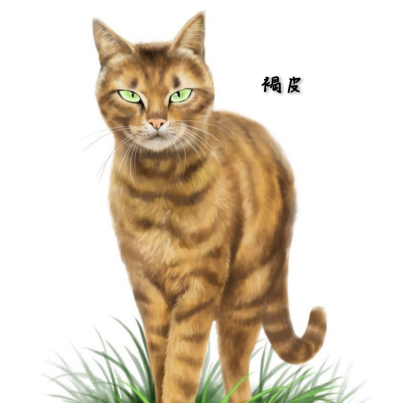 猫武士3