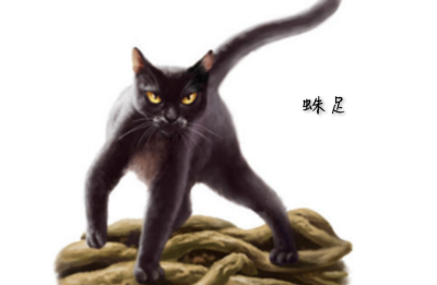 猫武士3