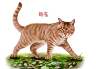 猫武士3