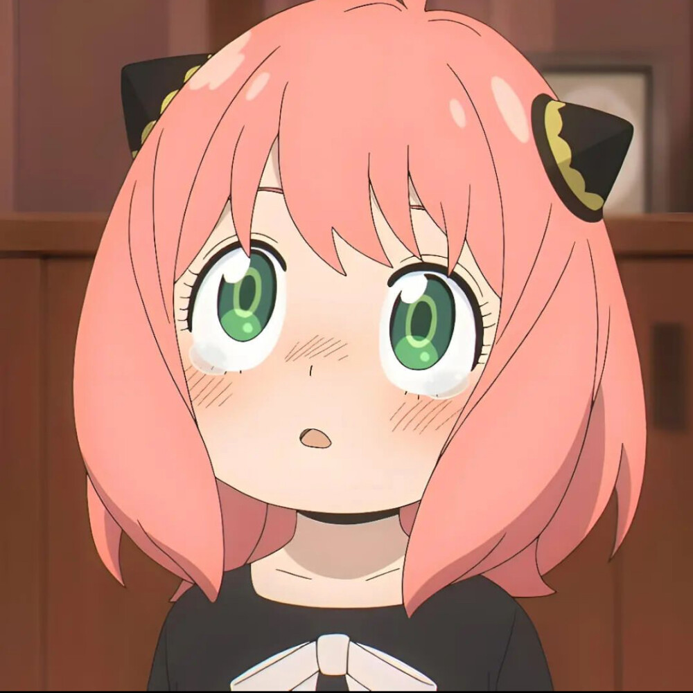 间谍过家家 头像