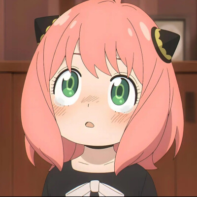 间谍过家家 头像