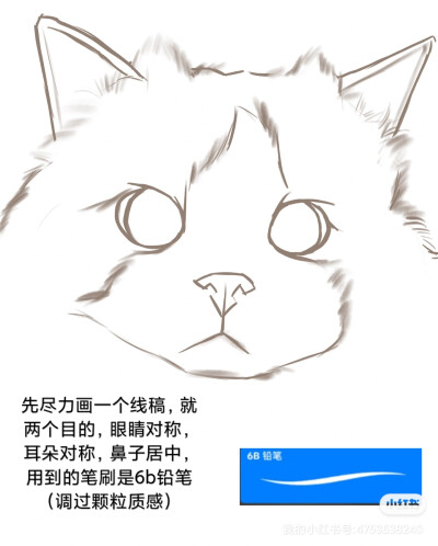 【厚涂】| 布偶猫教程