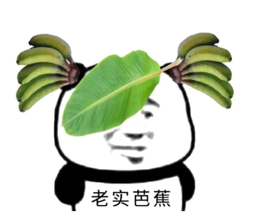 表情包